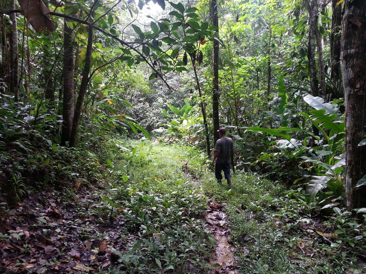 Finca en Matama