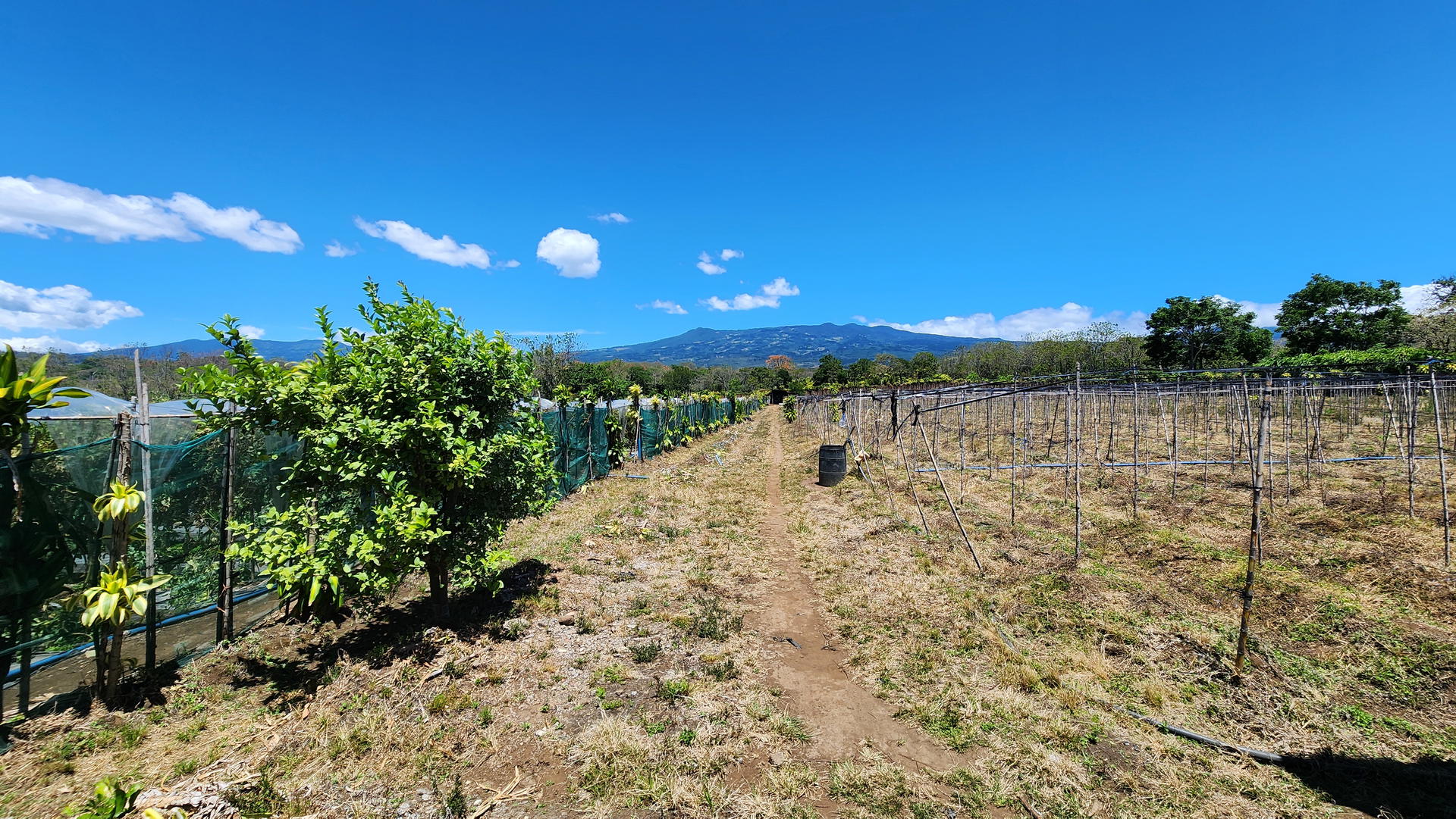 Terreno en Barrantes
