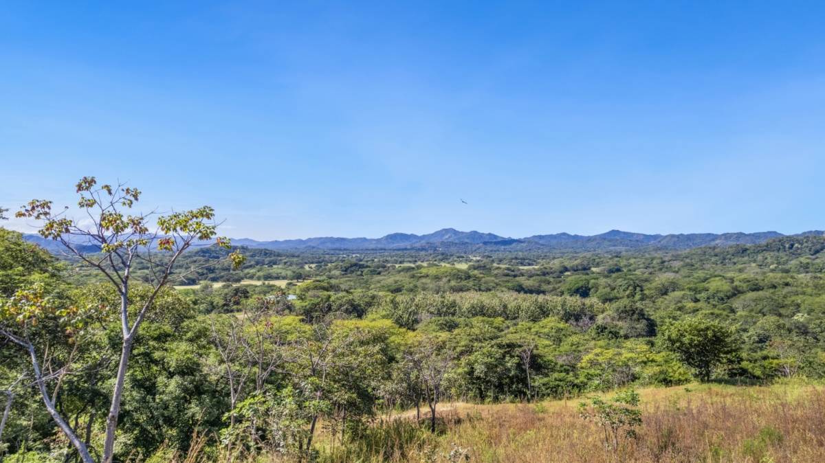 Property at Cartagena