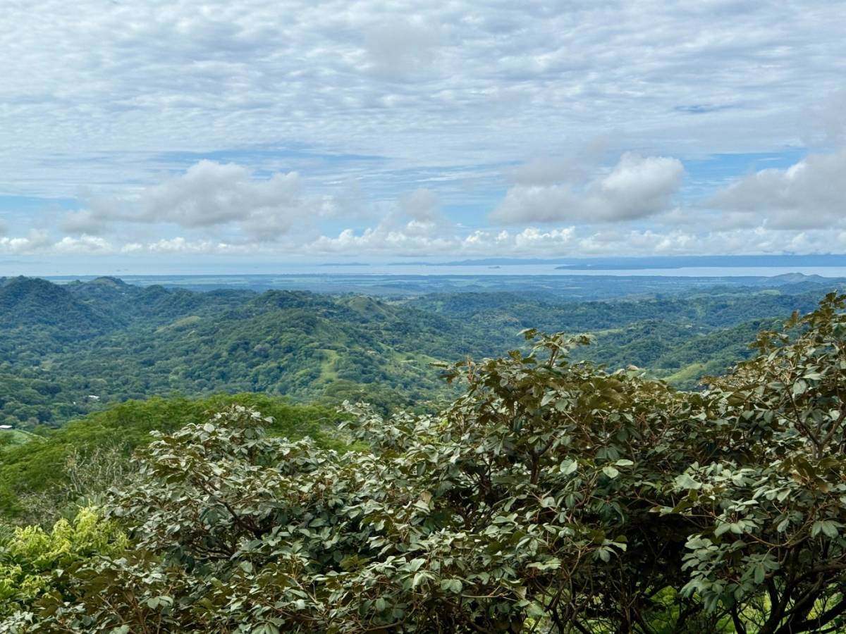 Finca en Monte Verde