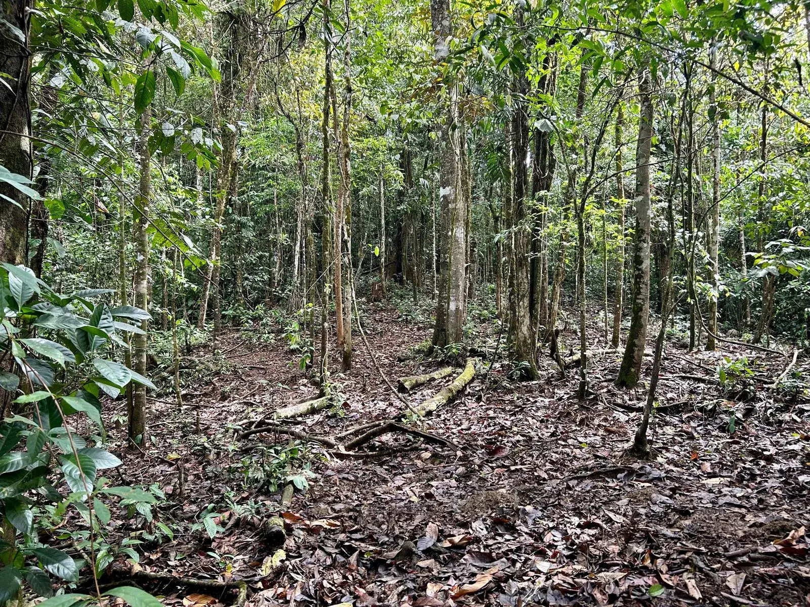 Land at San Isidro del General