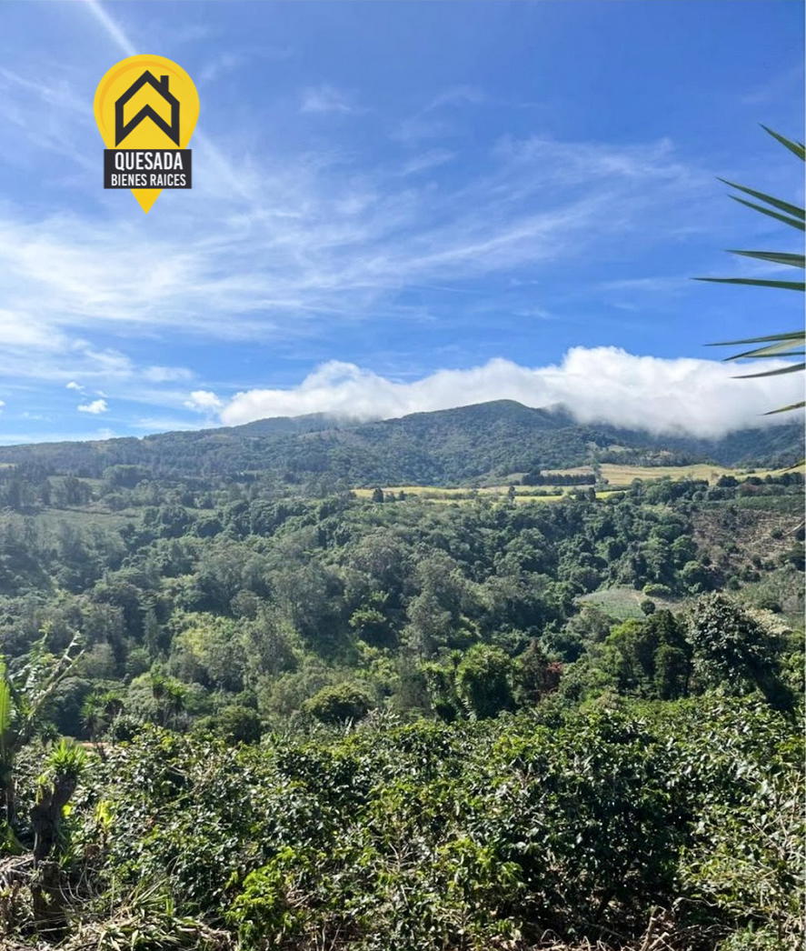 Finca en San Pedro