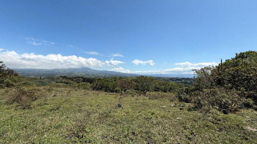 Land at San Jerónimo