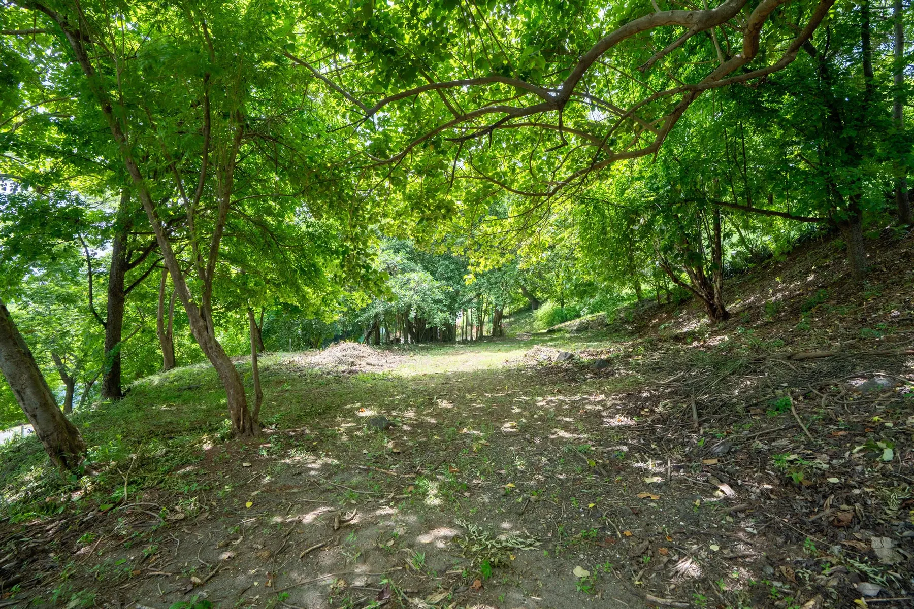 Terreno en Tamarindo