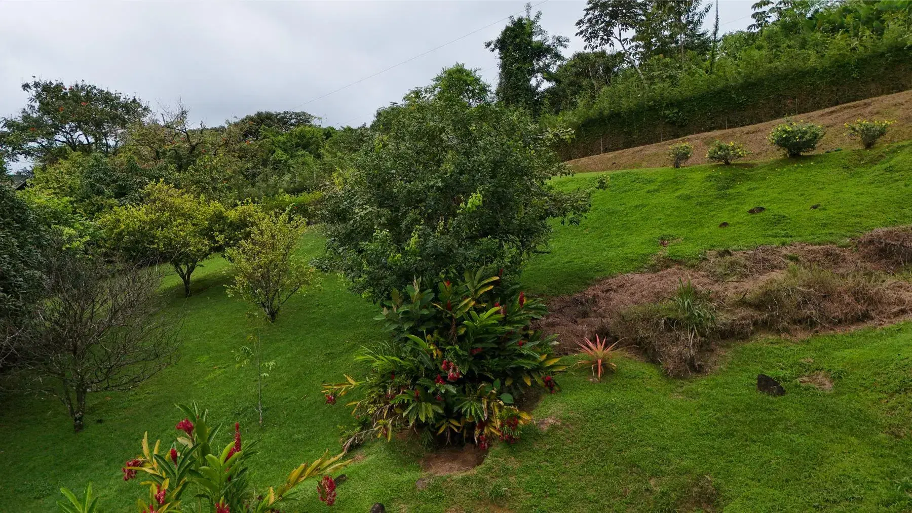 Property at Bahía Ballena