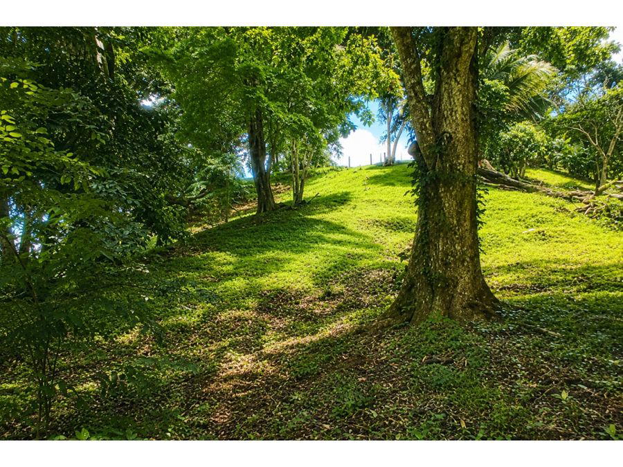 Terreno en Nativa Resort