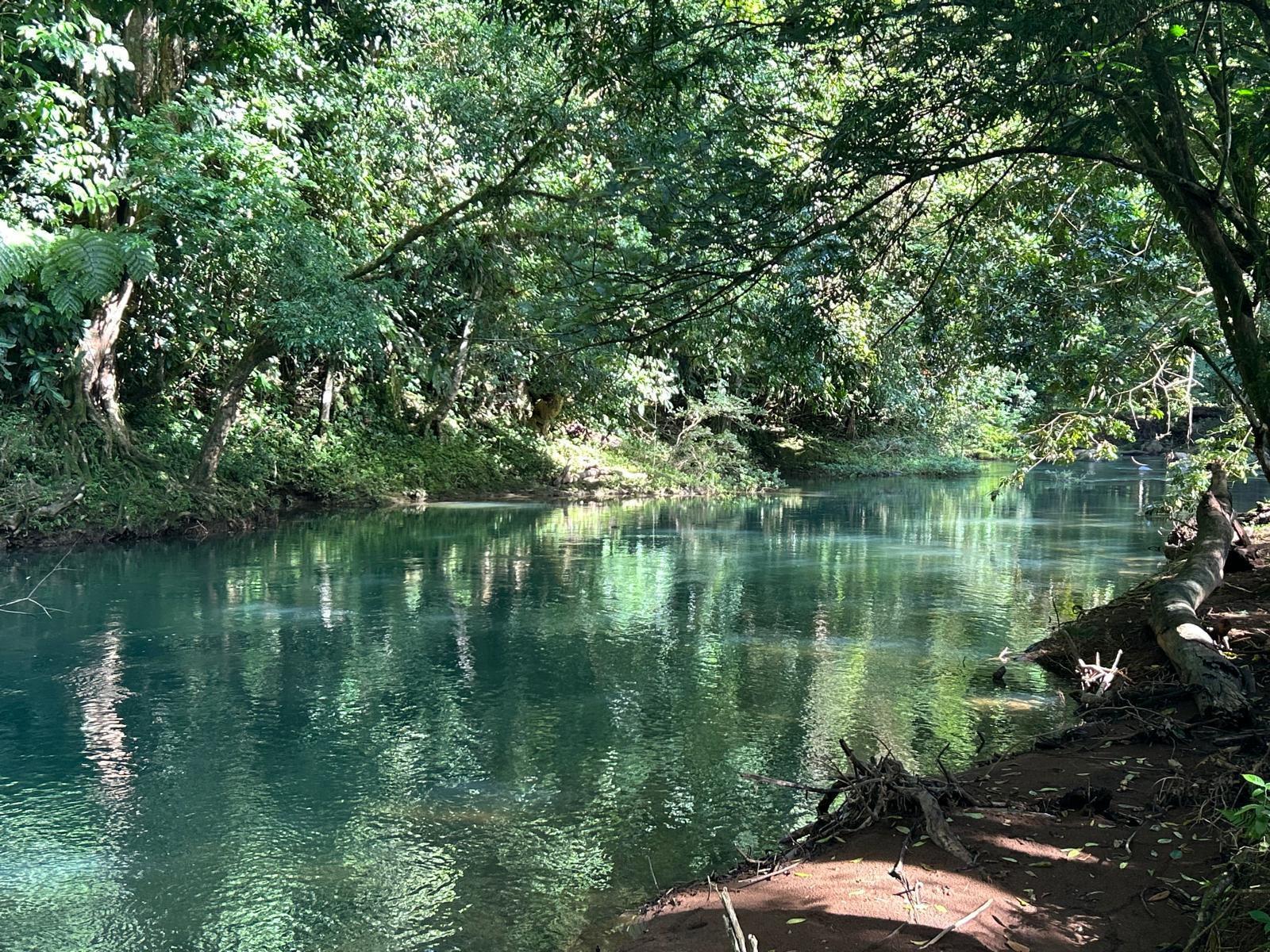 Property at La Virgen