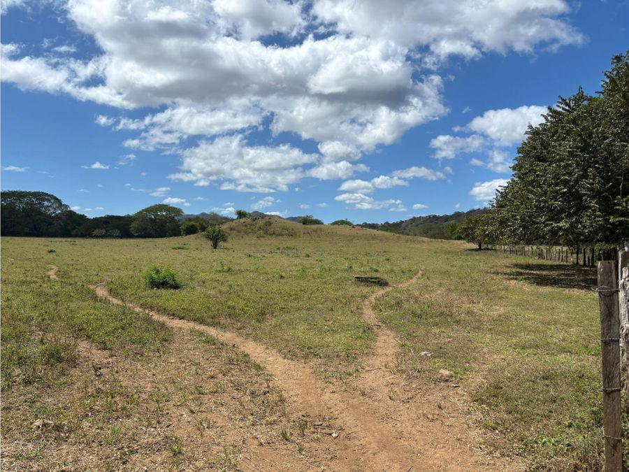Propiedad en Sardinal