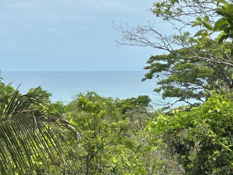 Land at Cóbano