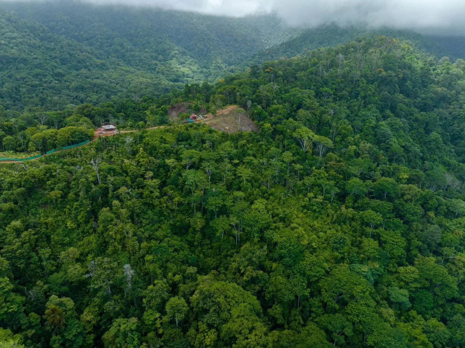 Terreno en Bahía Ballena