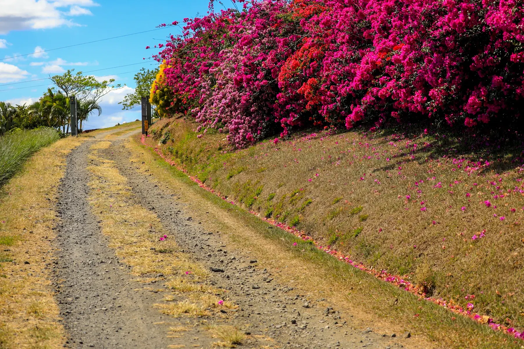 Propiedad en Santa Bárbara