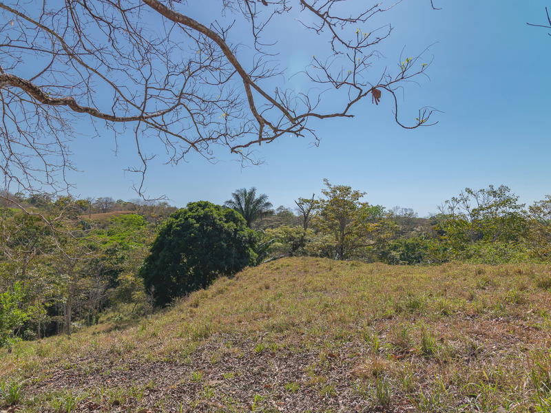 Land at Cóbano