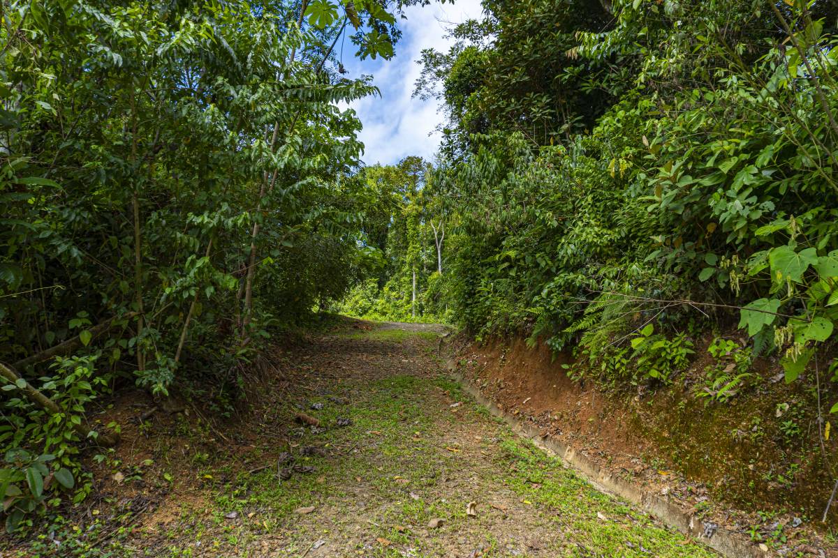 Property at San Buenaventura
