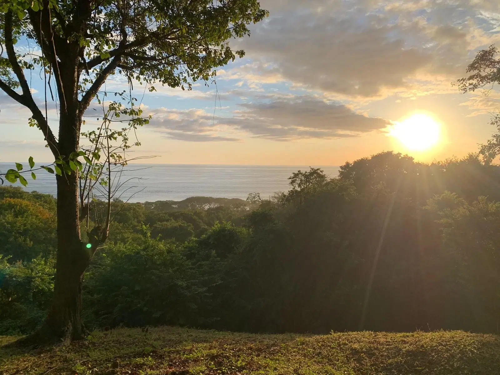 Land at Tamarindo