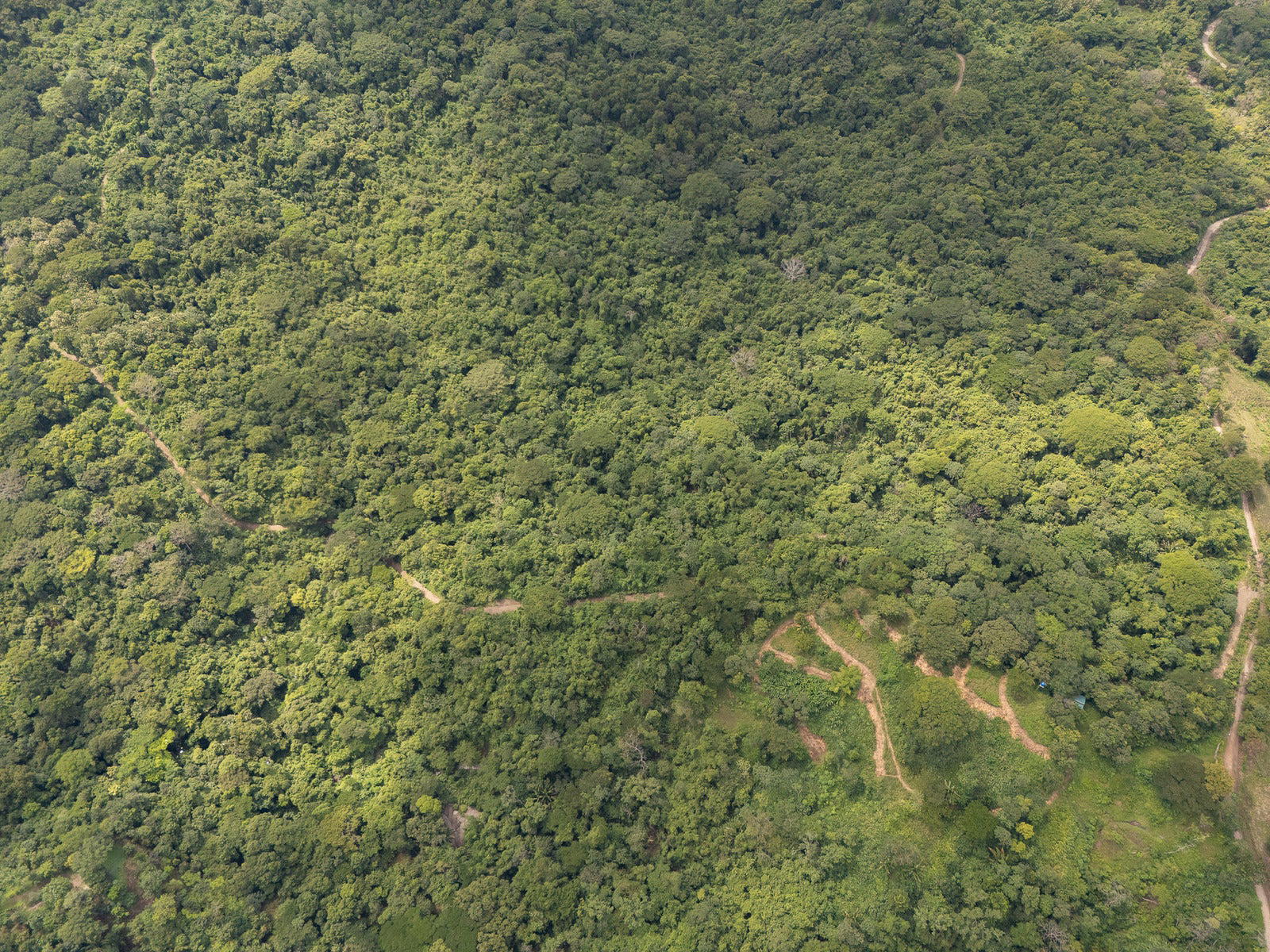 Terreno en Cóbano
