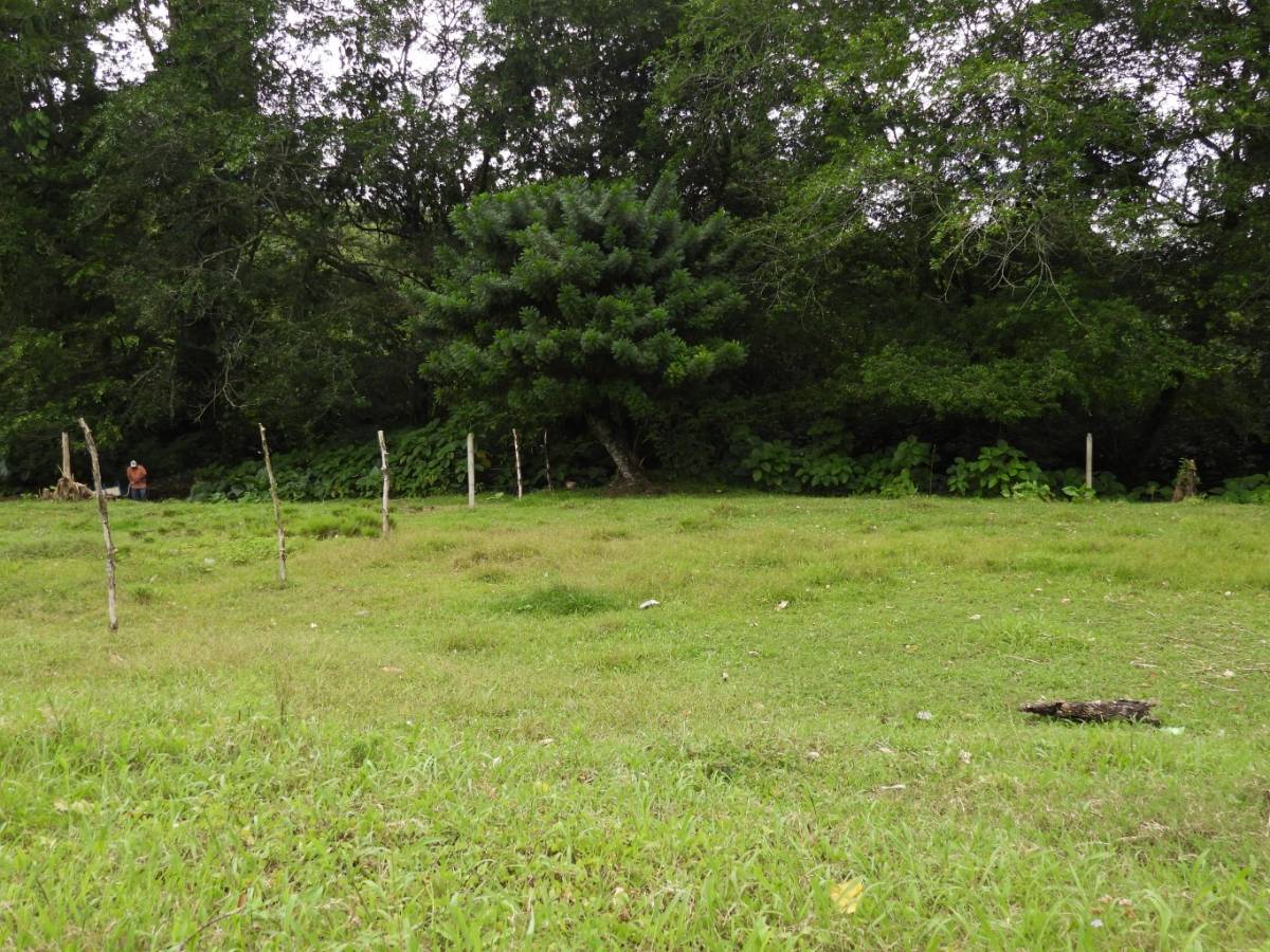 Property at Turrialba