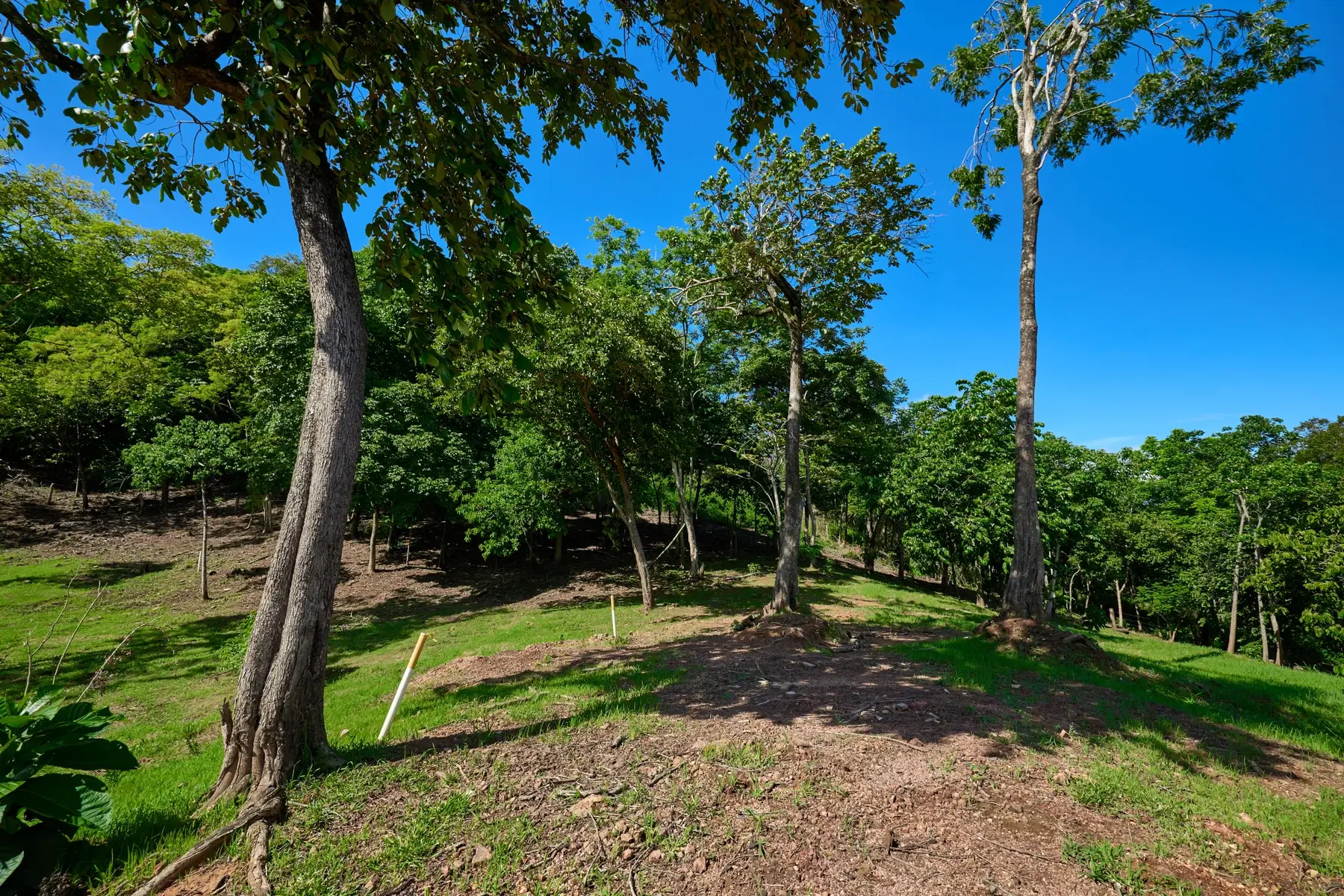 Terreno en Tamarindo