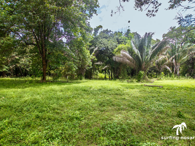 Land at Nosara