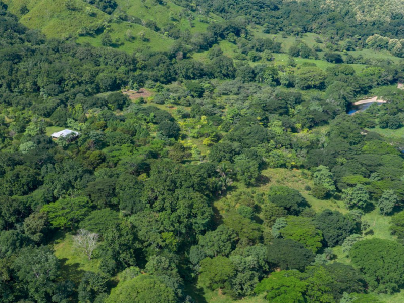 Land at Lepanto