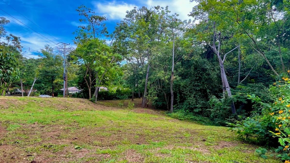 Property at Playa Grande