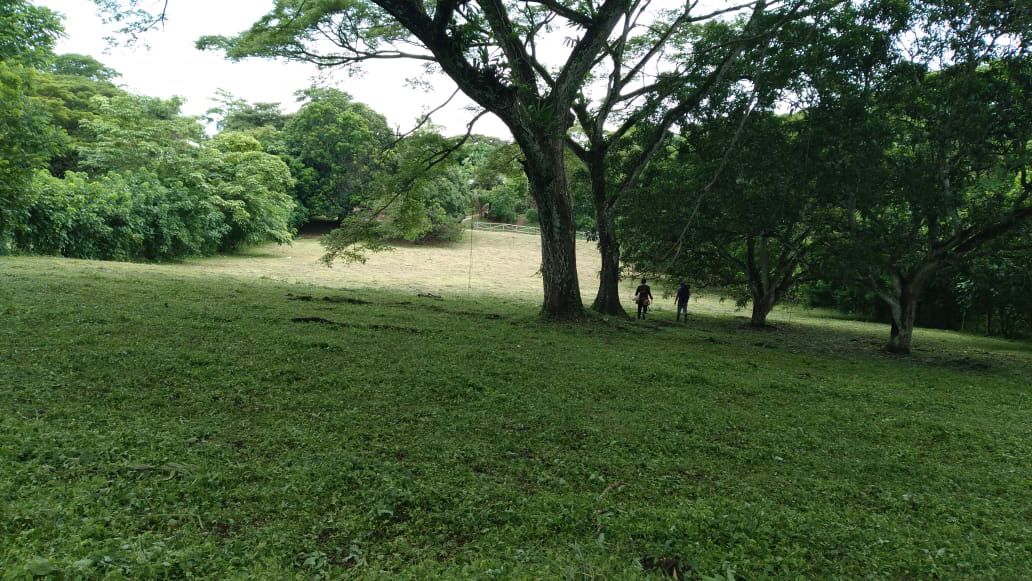 Terreno en Tárcoles