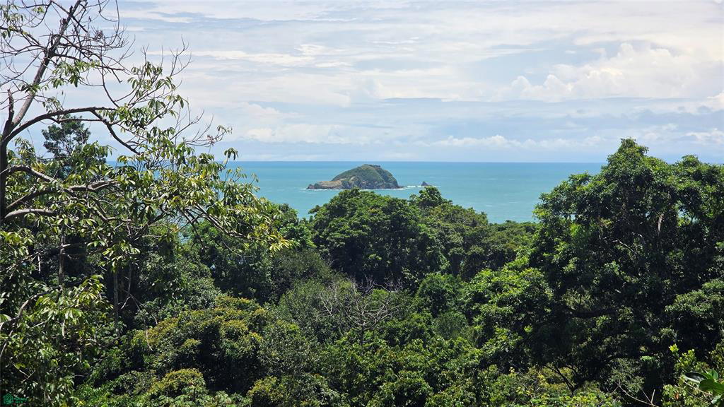 Land at Manuel Antonio