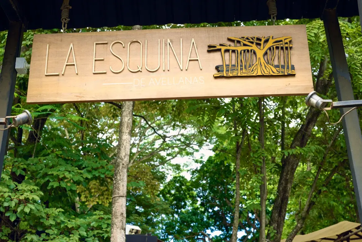 Terreno en Tamarindo