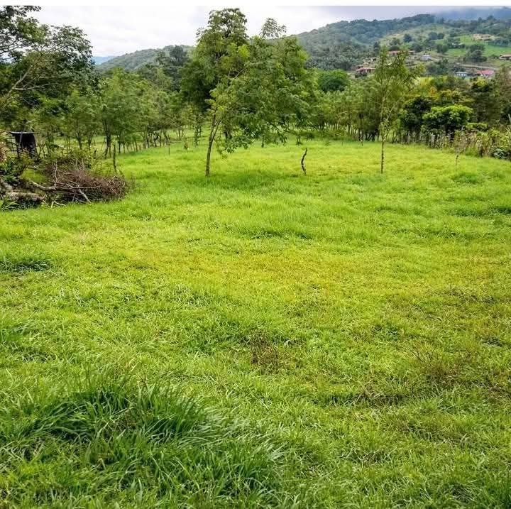 Terreno en Tronadora