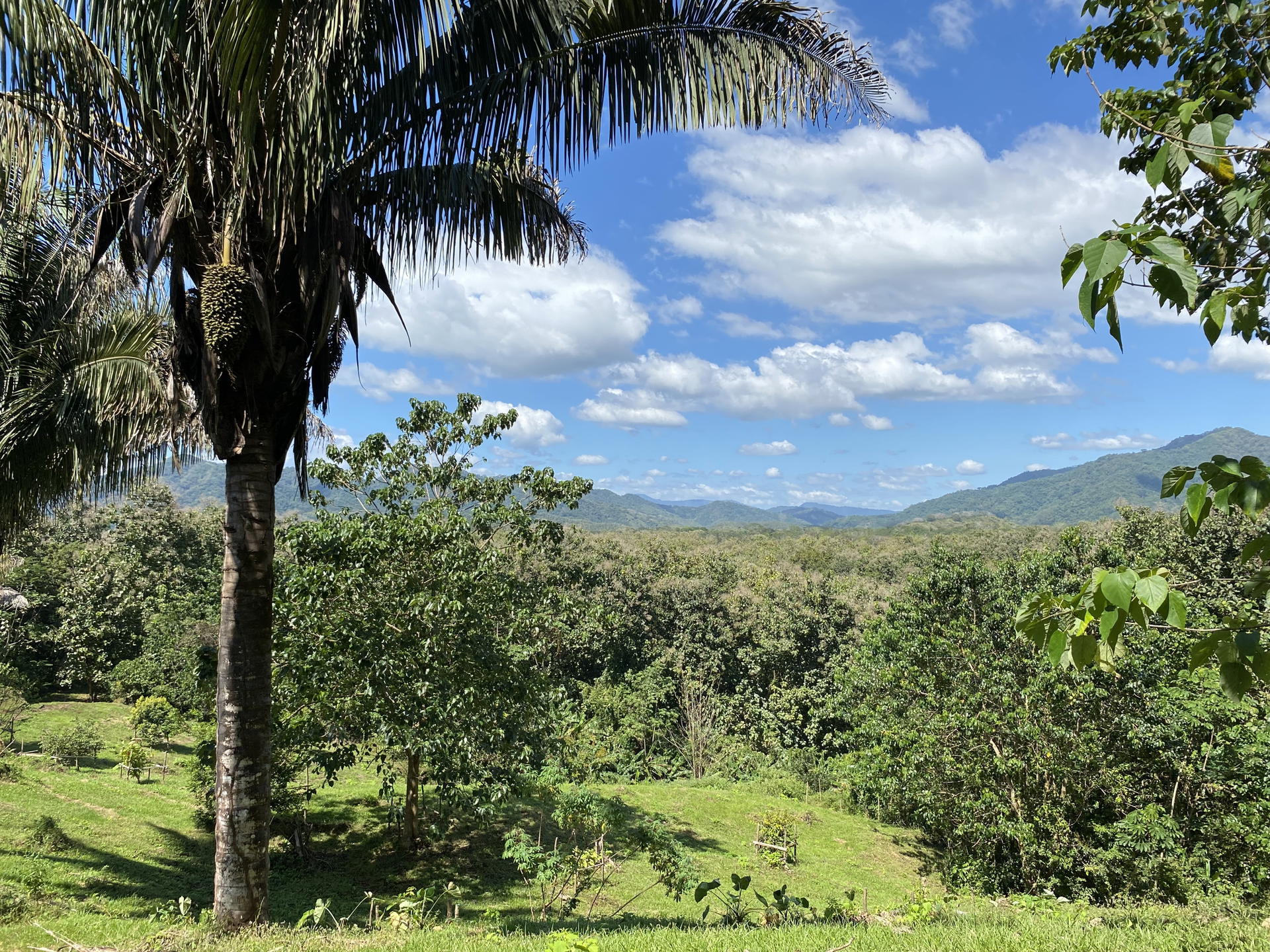 Terreno en Cóbano