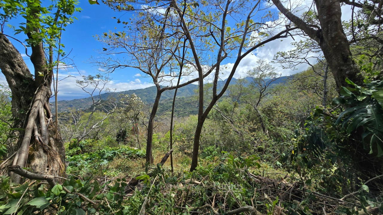 Property at Piedades