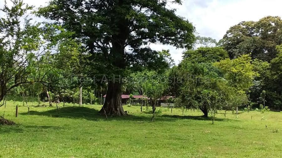 Property at Horquetas
