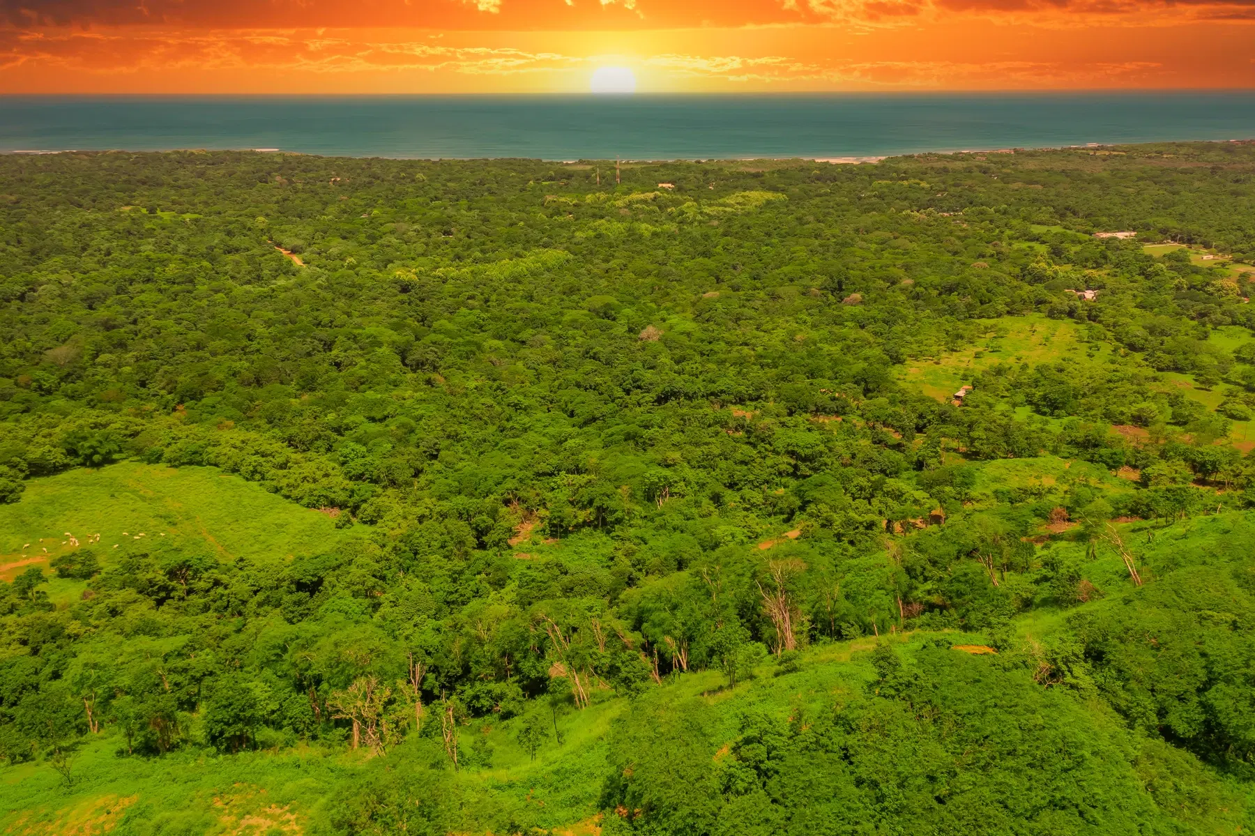 Terreno en Tamarindo