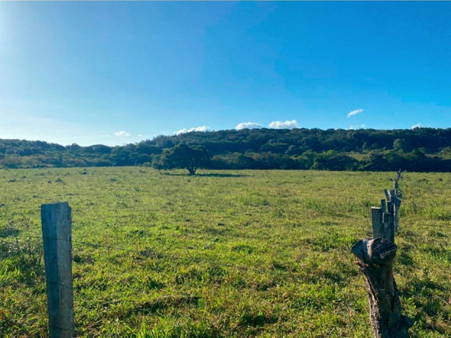 Finca en Mogote