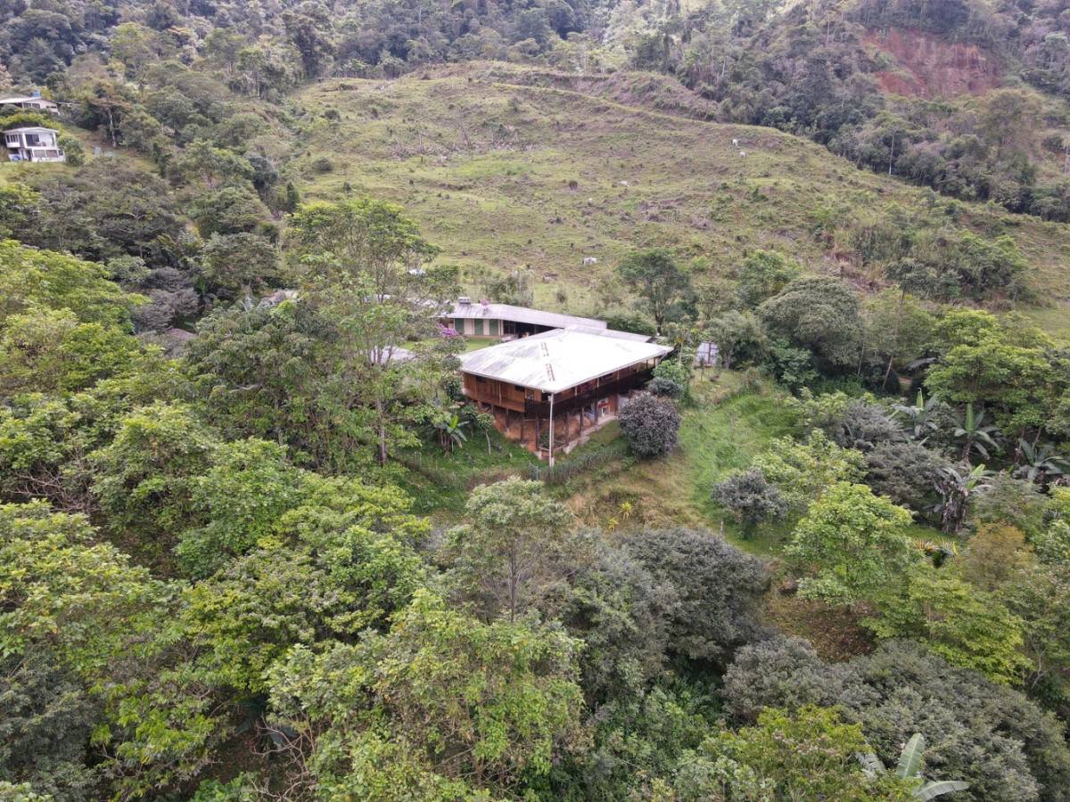 Casa en San Isidro del General