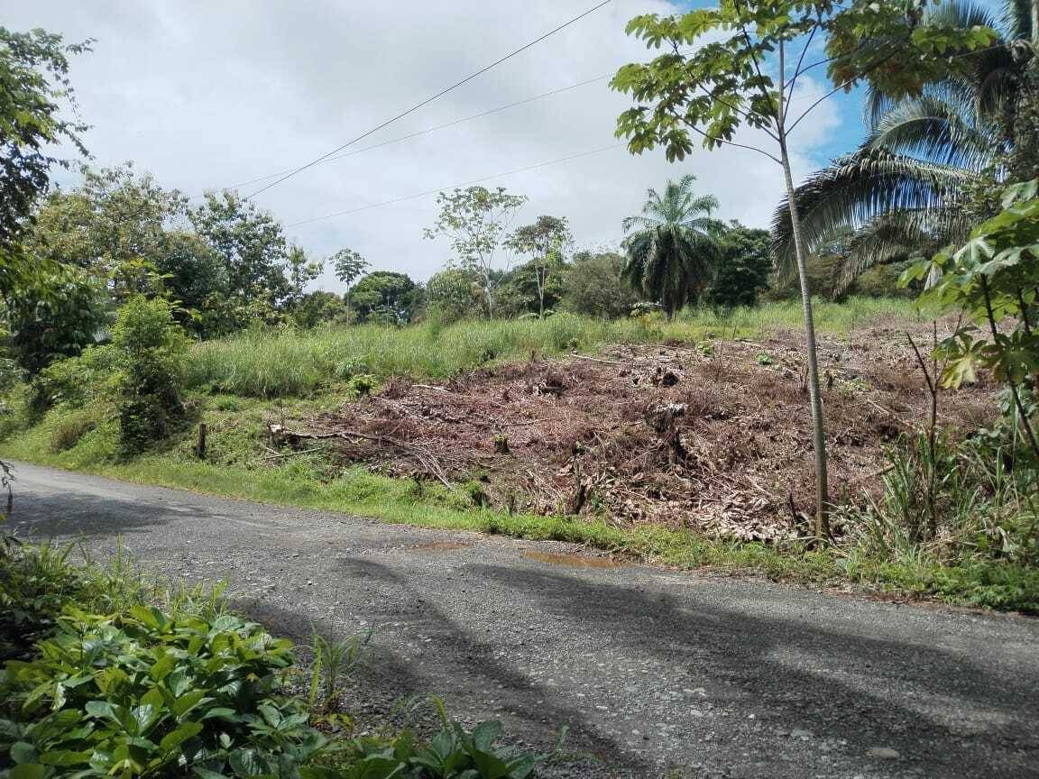 Property at Parrita