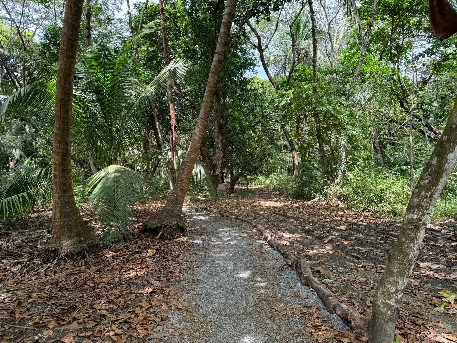 Terreno en Cóbano