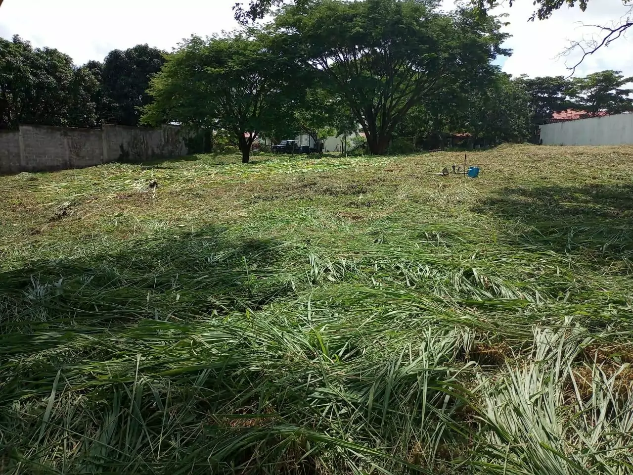 Propiedad en Uruca