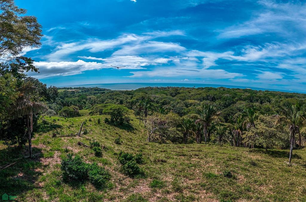 Land at Nicoya