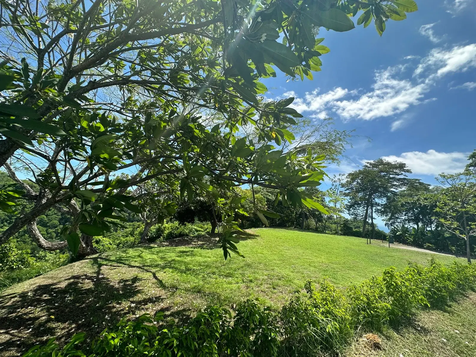 Land at Jacó