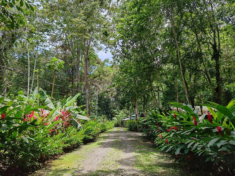Terreno en Cahuita