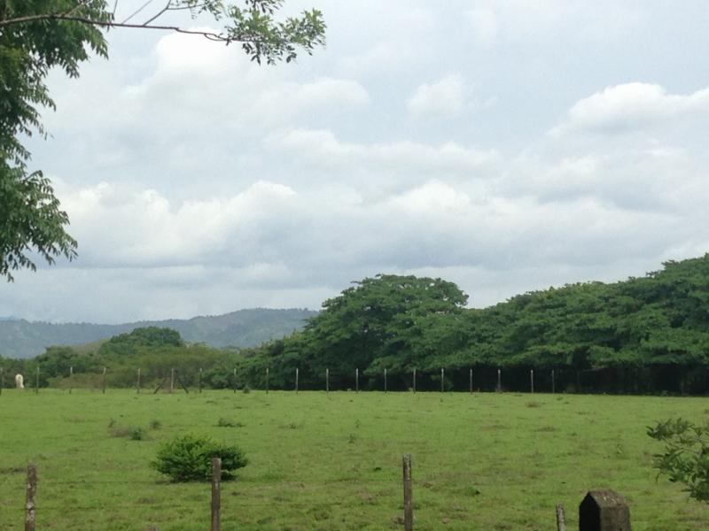 Land at Guácima
