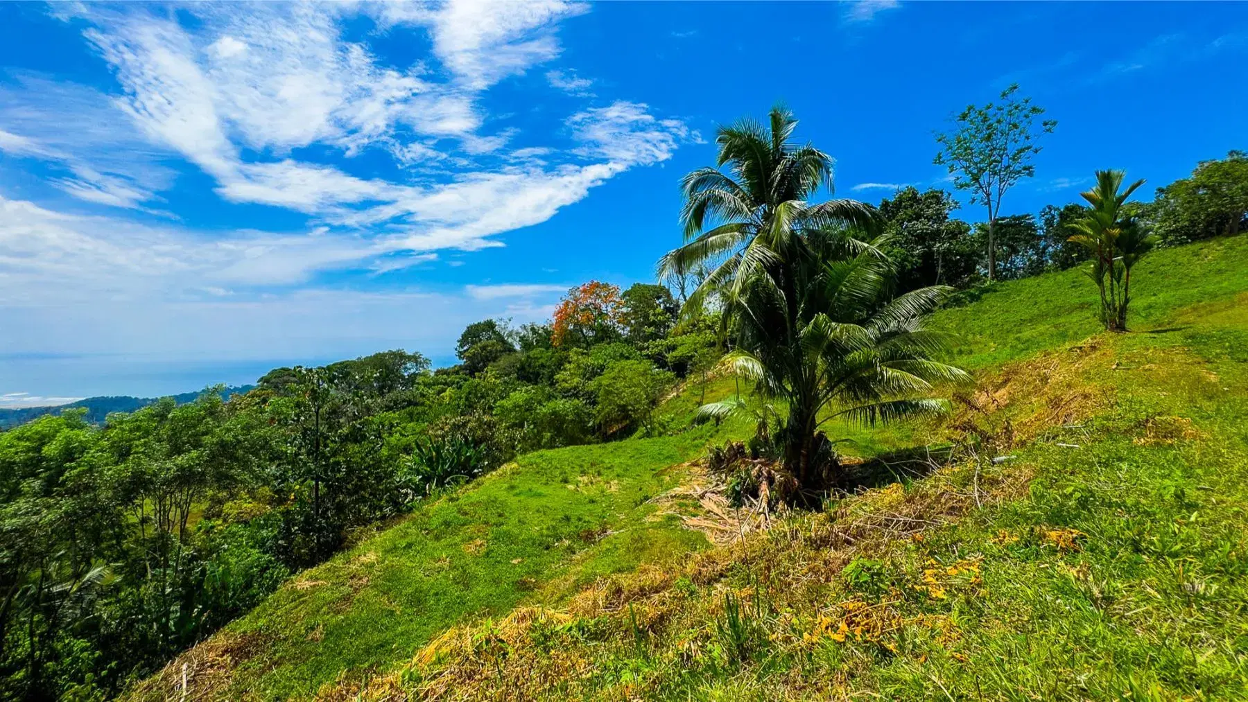 Land at Puerto Cortés
