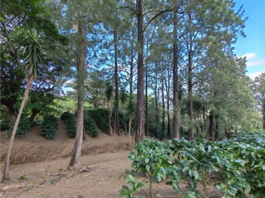 Land at Colón