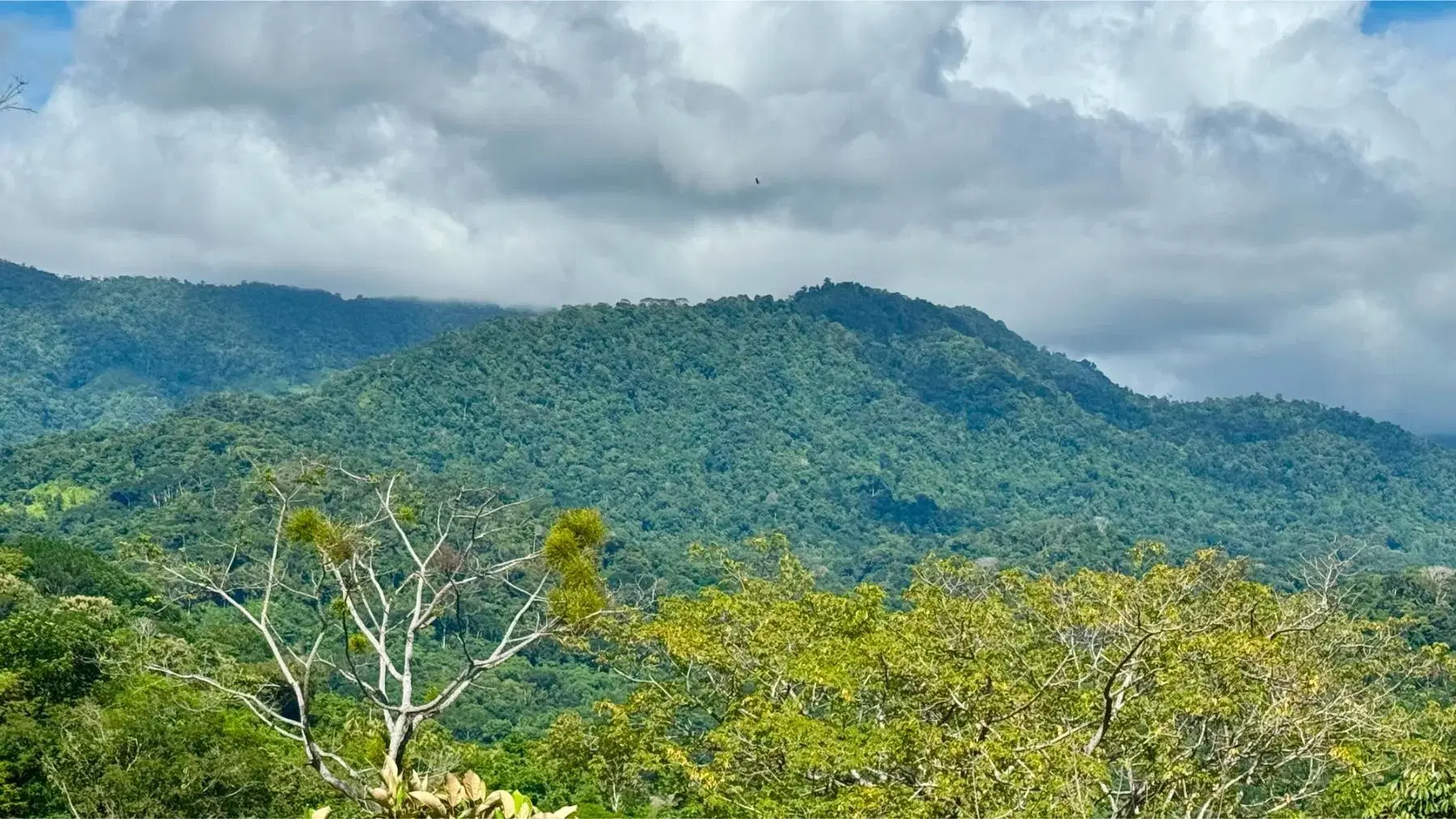Terreno en Bahía Ballena