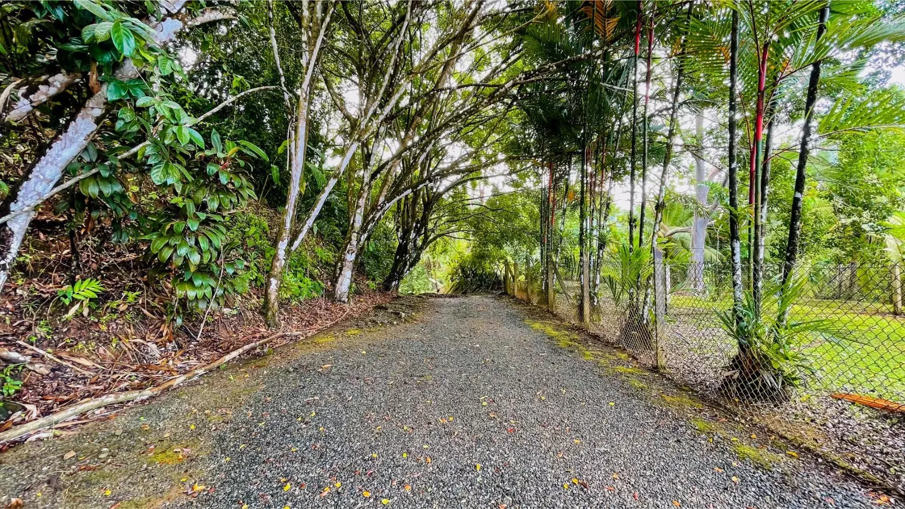 House at Bahía Ballena