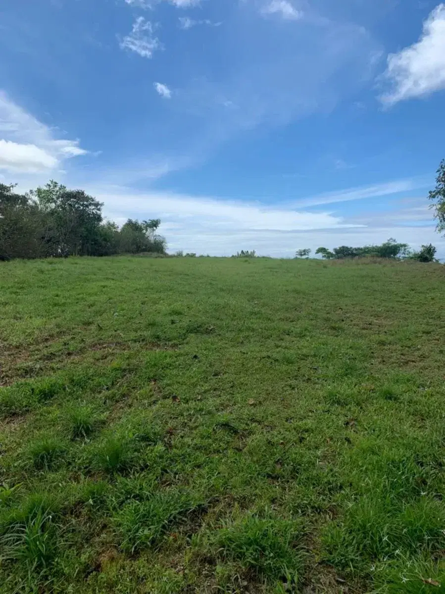 Terreno en Puerto Cortés