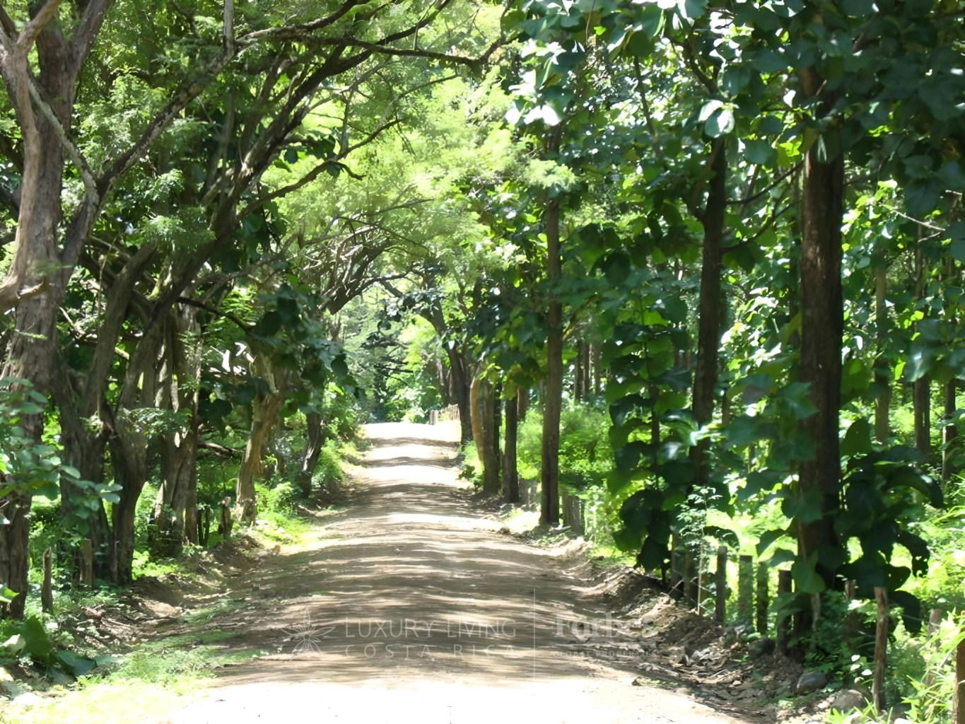 Terreno en Santa Cruz