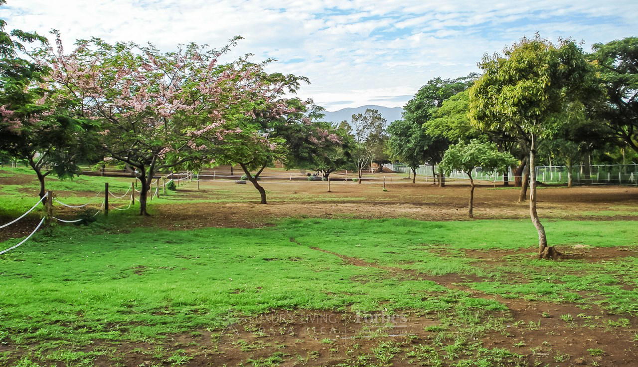 Terreno en San Rafael