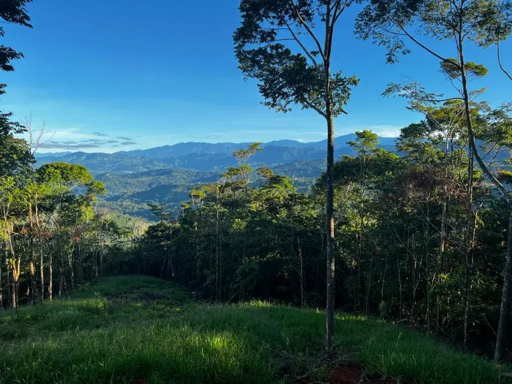 Terreno en Bahía Ballena