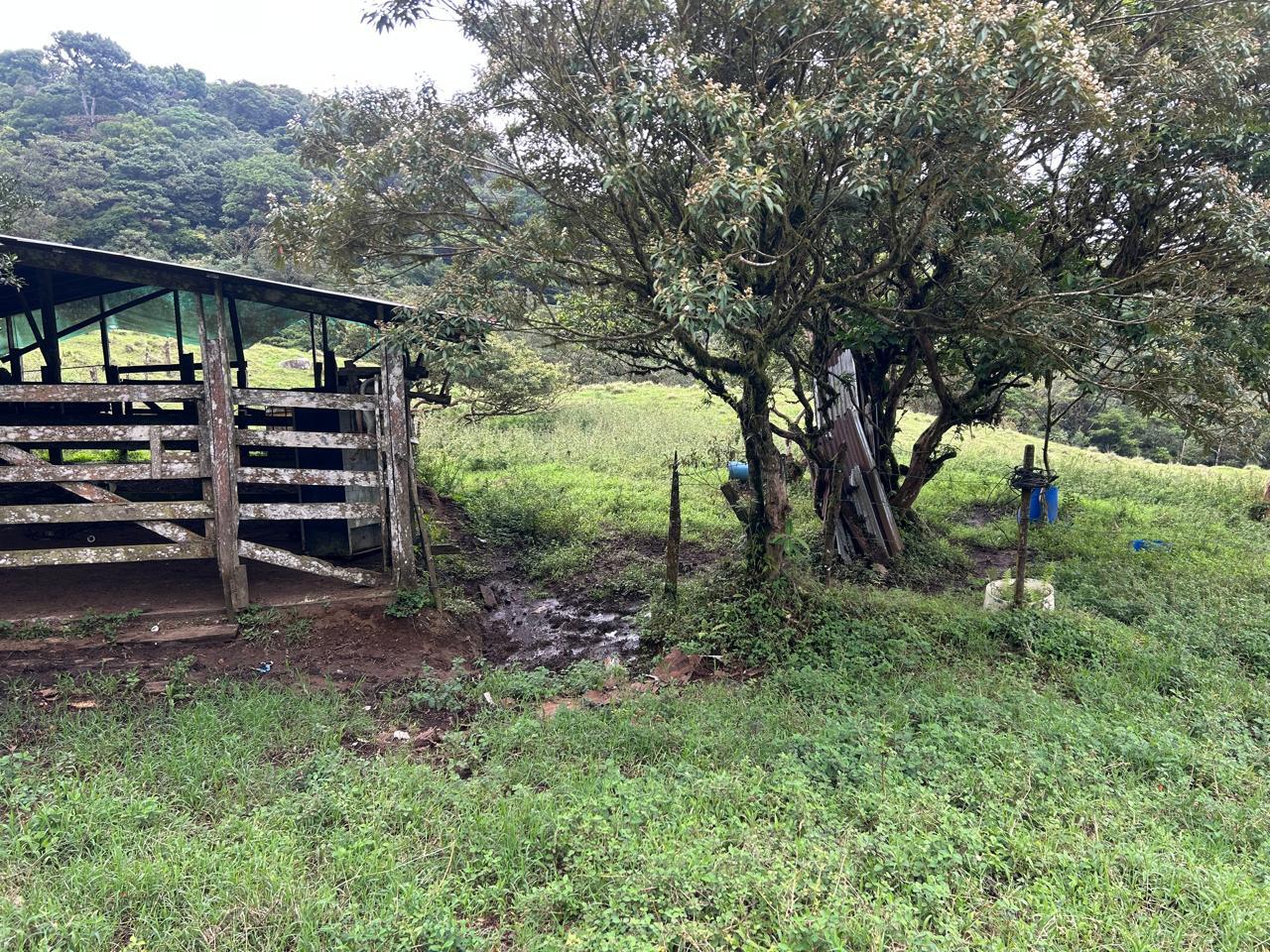 Propiedad en Puntarenas